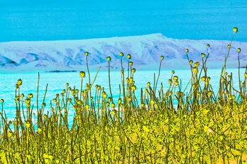 L 057B